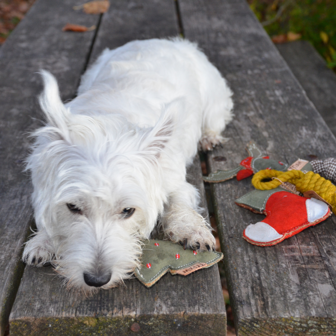 NaughtyPaws Toy Collection