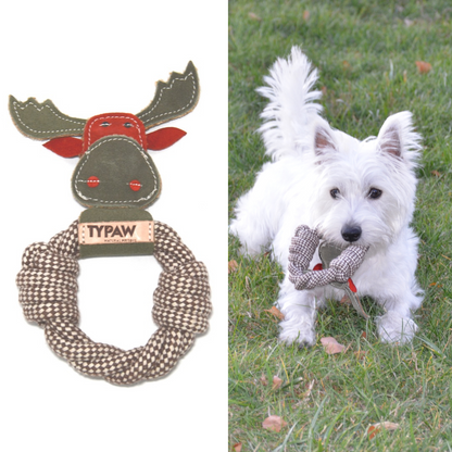 Set of any two xmas toys (Santa, Reindeer, Xmas Tree, sock)