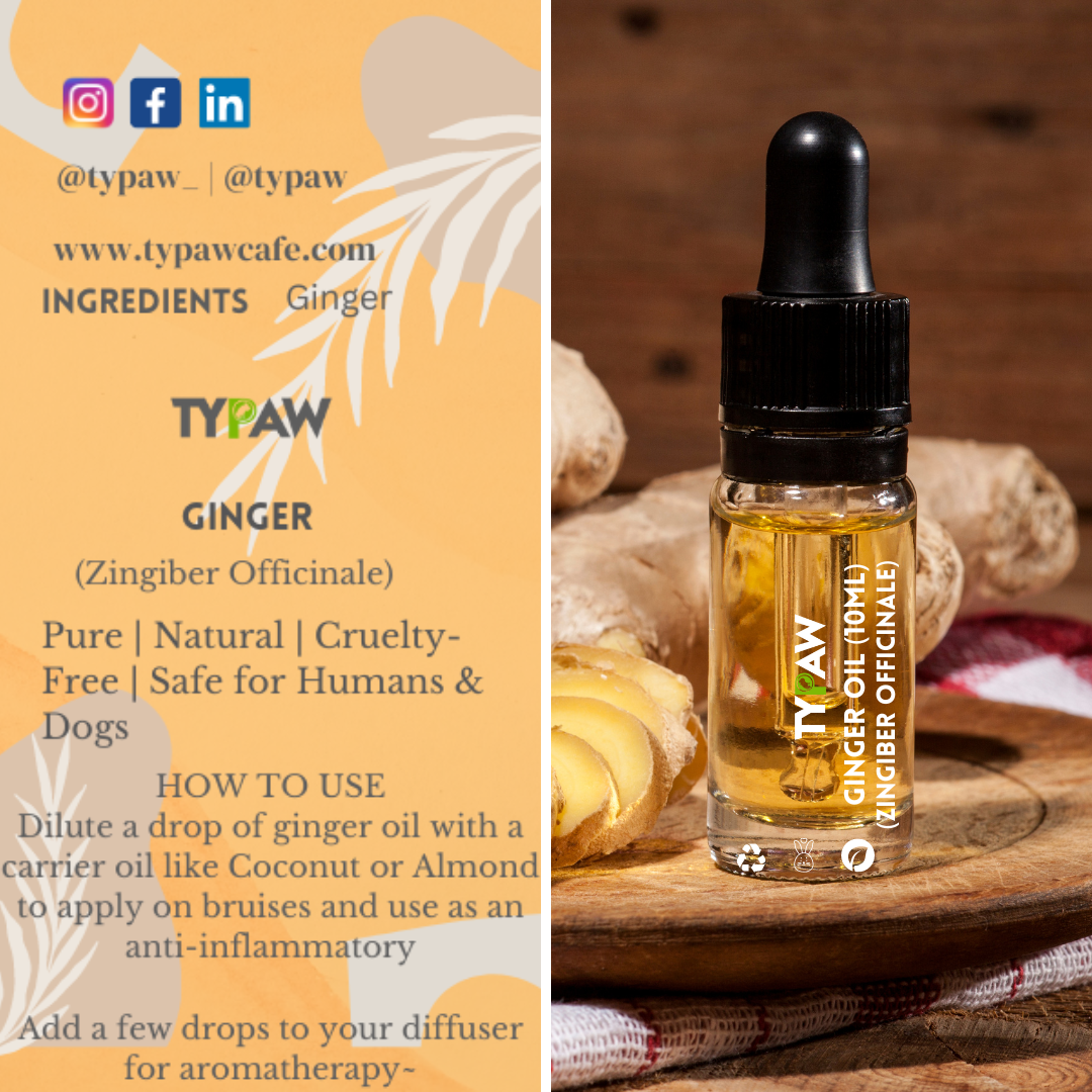 Ginger