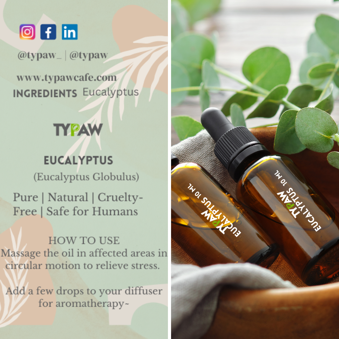 Eucalyptus