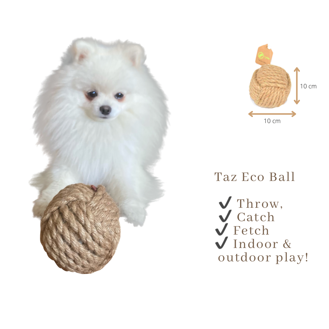 Jute Rope Toys | Natural | Chew-Friendly | Set of Two