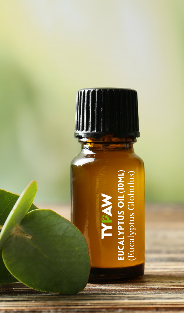 Eucalyptus