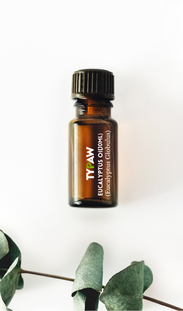Eucalyptus