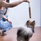 Sir Charles Eco Stick - TyPawCafe